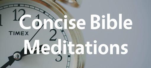 Concise Bible Meditations