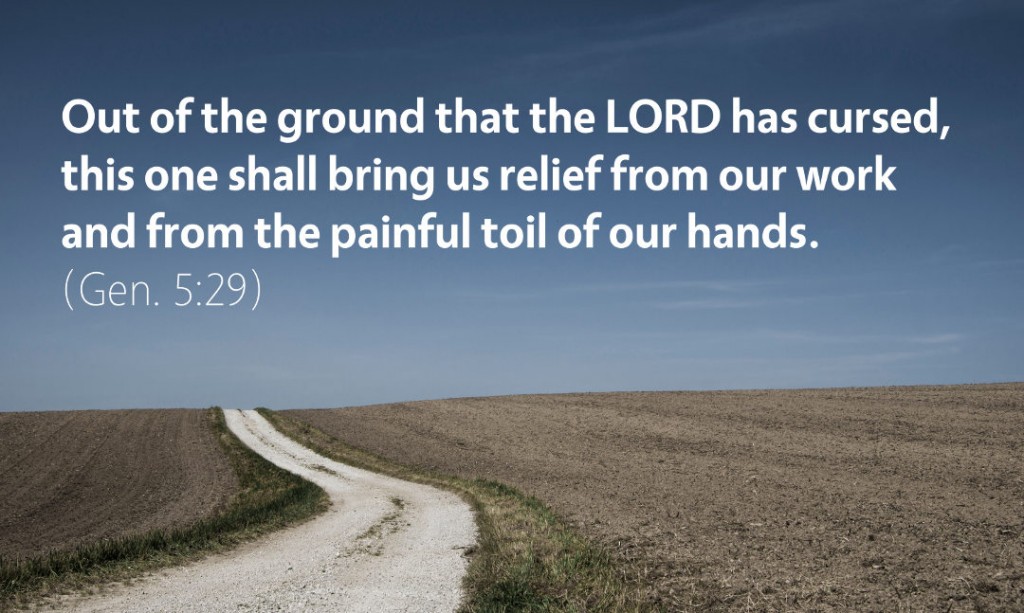 Genesis 5: Out of the Ground that the Lord has Cursed