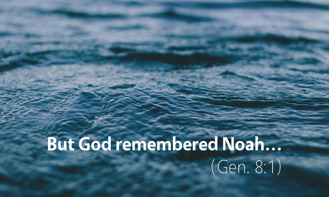 Genesis 8: But God Remembered Noah