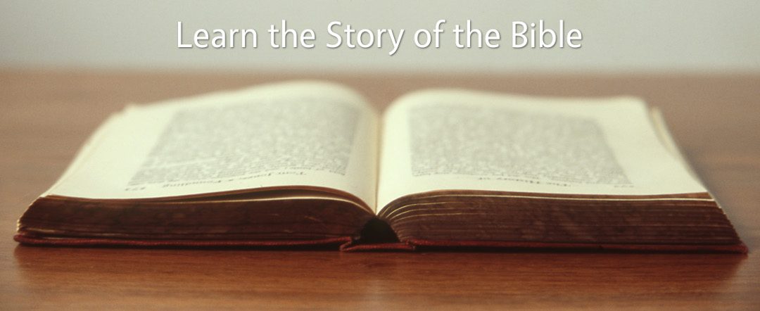 Learn the Story of the Bible