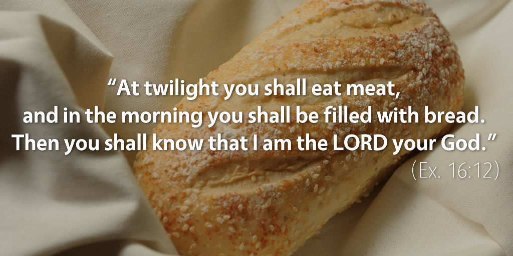 Exodus 16: You shall be filled with bread.