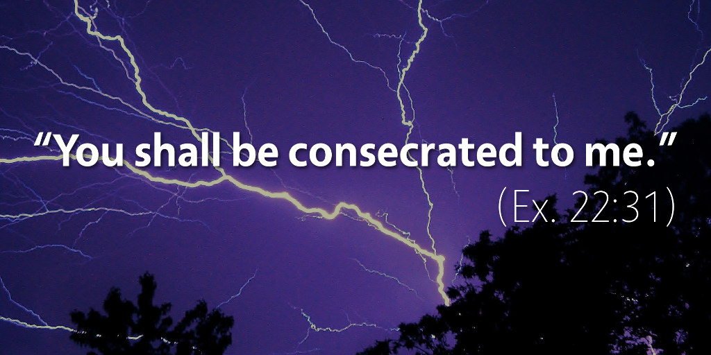 Exodus 22: You shall be consecrated to me.
