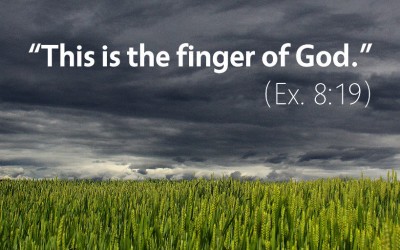 February 25th: Bible Meditation for Exodus 8