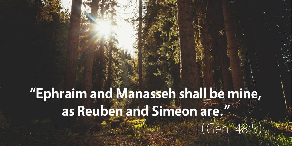 Genesis 48: Ephraim and Manasseh shall be mine