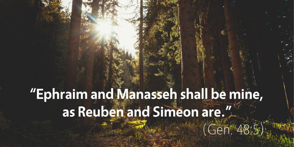 February 15th: Bible Meditation for Genesis 48
