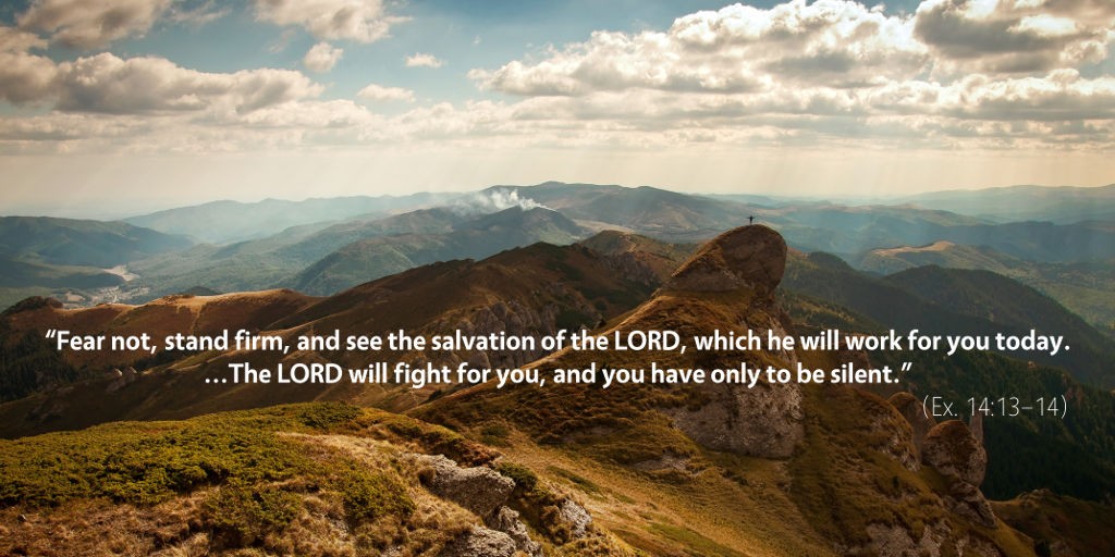 Exodus 14: The Lord will fight for you and you have only to be silent.