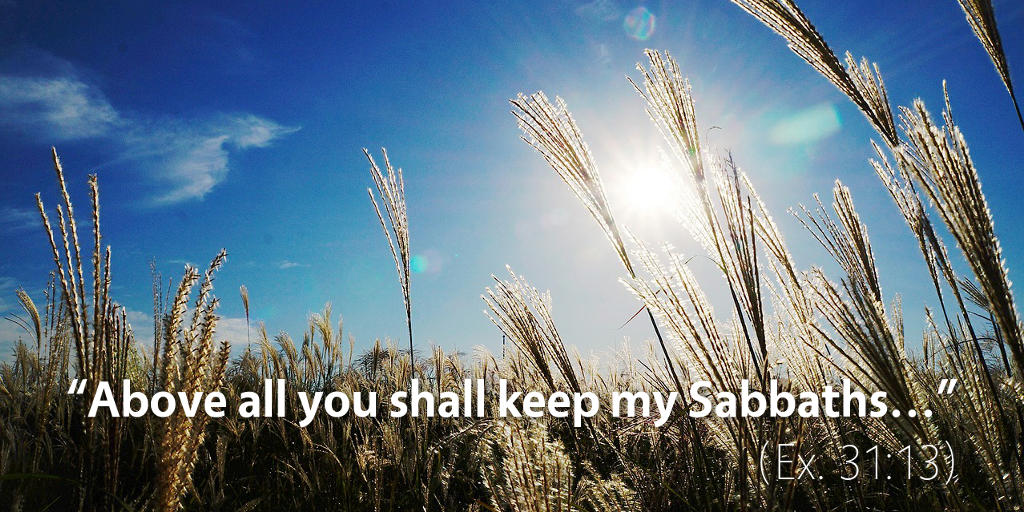 Exodus 31: Above all you shall keep my Sabbaths