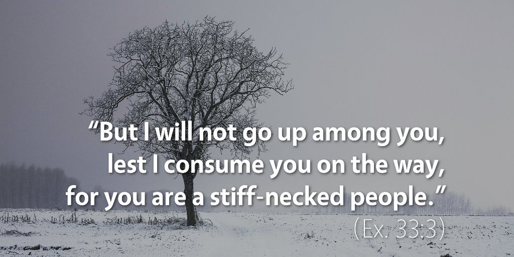 Exodus 33: But I will not go up among you