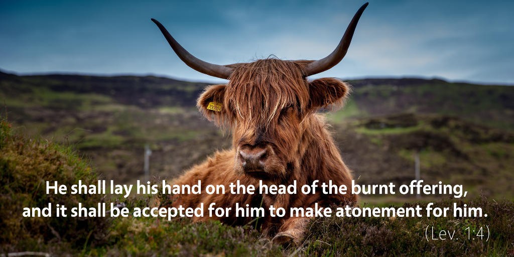 Leviticus 1: He shall lay his hand on the head of the burnt offering