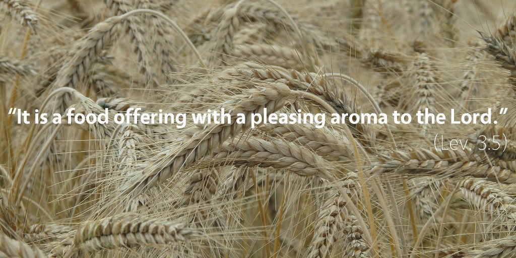 Leviticus 2–3: It is a food offering with a pleasing aroma to the Lord