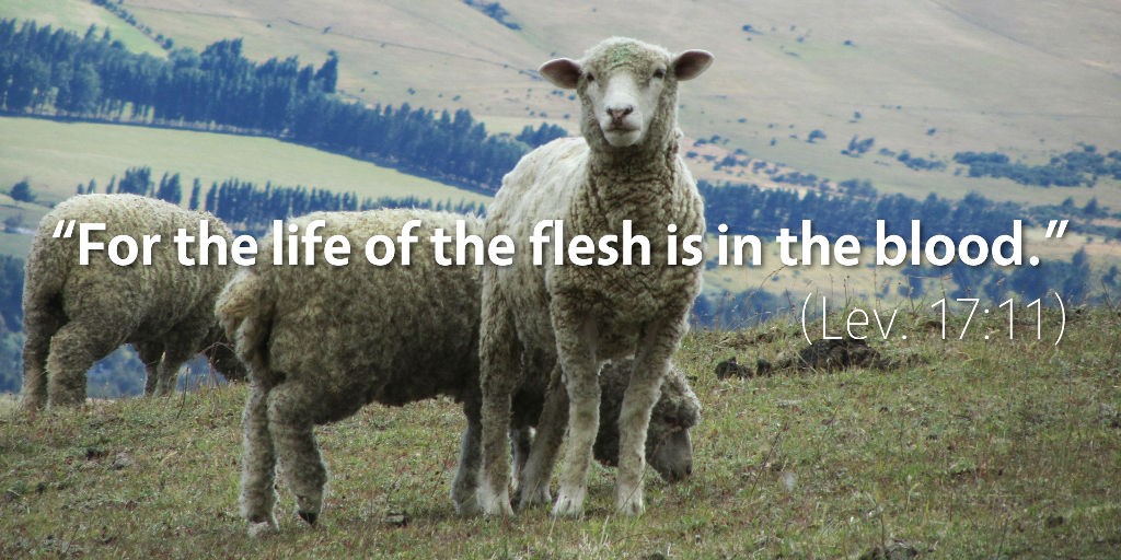 Leviticus 17: For the life of the flesh is in the blood