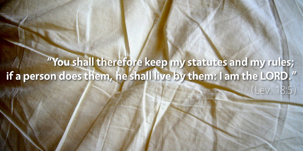 Leviticus 18: You shall therefore keep my statutes and my rules