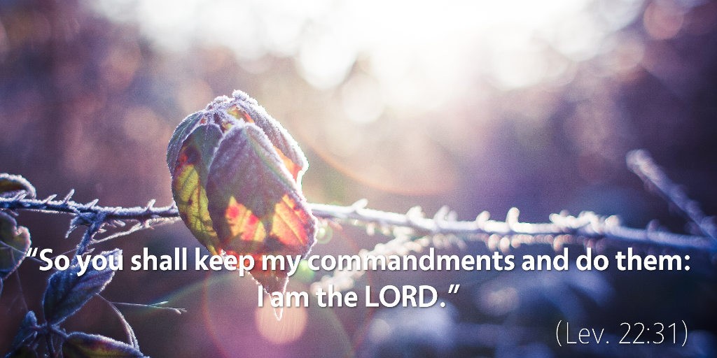 Leviticus 22: So you shall keep my commandments and do them. I am the LORD.