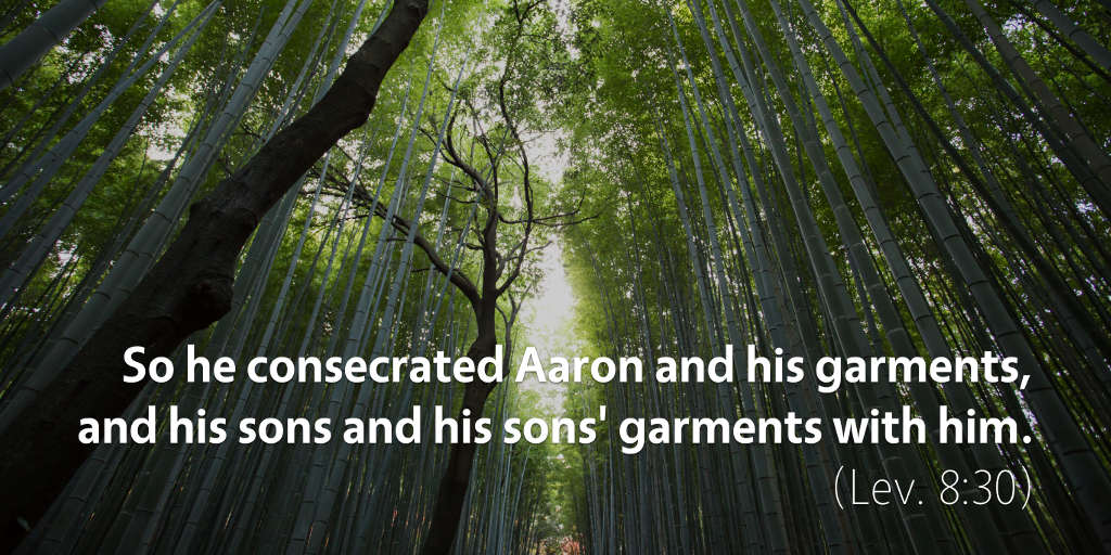 Leviticus 8: So he consecrated Aaron and his garments and his sons and his sons garments with him