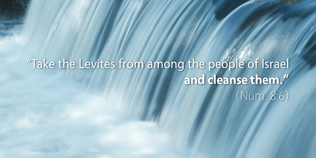 Numbers 8: Take the Levites from among the people of Israel and cleanse them.