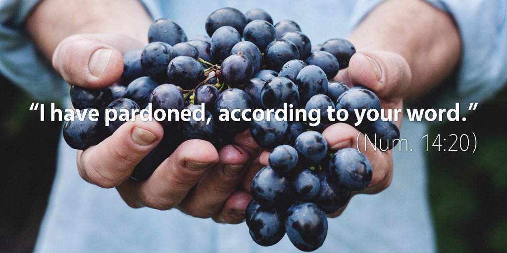 Numbers 14: I have pardoned, according to your word.