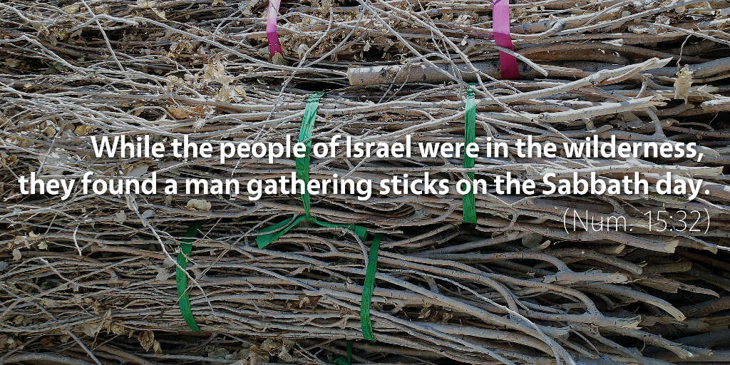 Numbers 15: They found a man gathering sticks on the Sabbath day.
