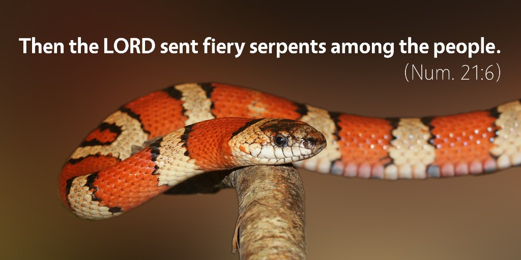 Numbers 21: Then the LORD sent fiery serpents among the people.