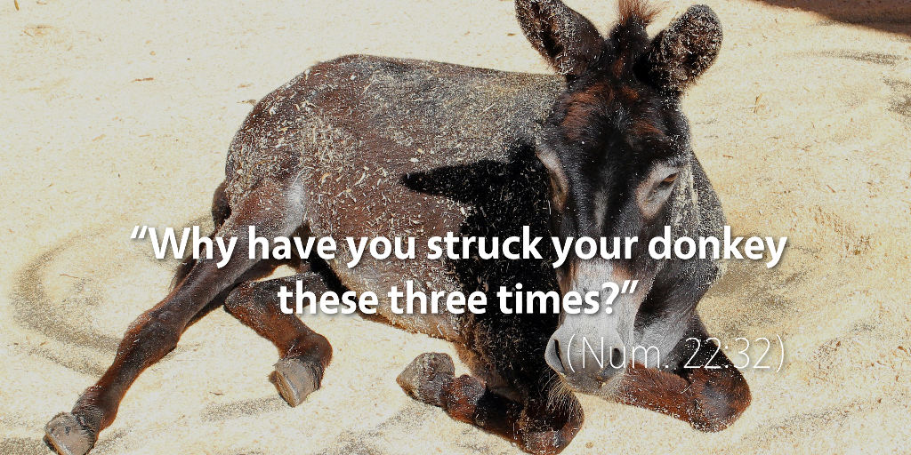 Numbers 21: Why have you struck your donkey these three times?