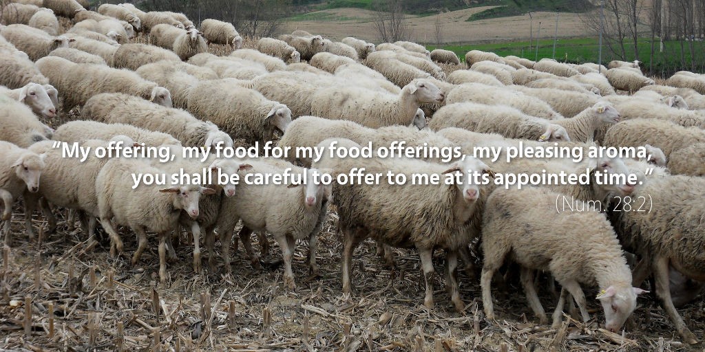Numbers 28: My offering, my food for my food offerings, my pleasing aroma you shall be careful to offer to me at its appointed time.