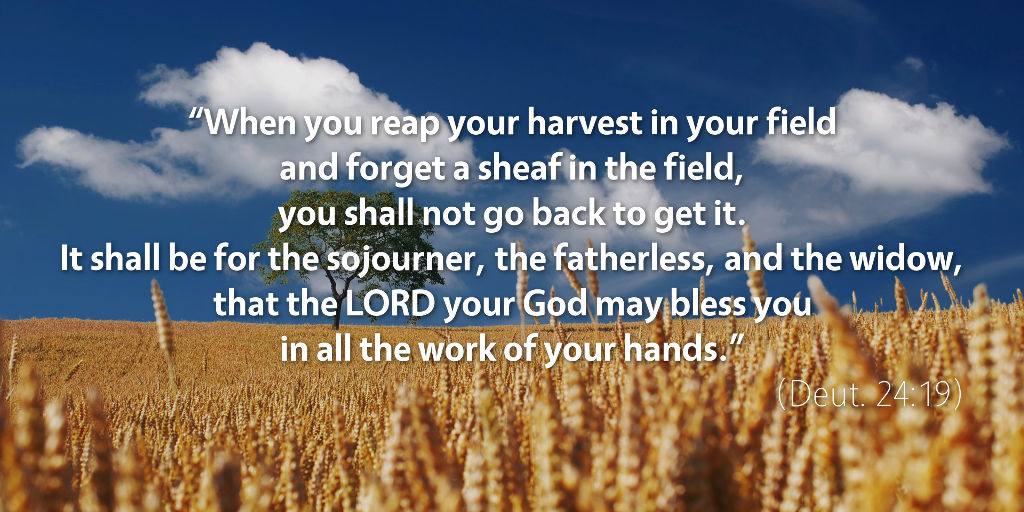 Deuteronomy 24: When you reap your harvest in your field and forget a sheaf in the field.