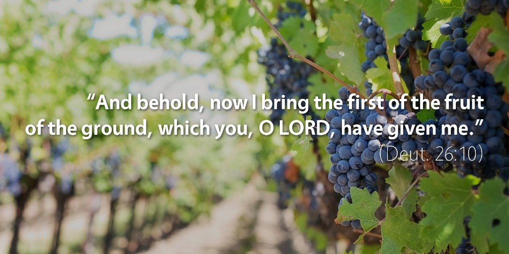 Deuteronomy 26: And behold, now I bring the first of the fruit of the ground which you, O LORD, have given me.