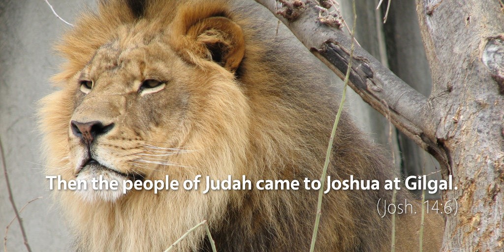 Joshua 14–15: Then the people of Judah came to Joshua at Gilgal.