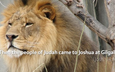 July 11th: Bible Meditation for Joshua 14–15