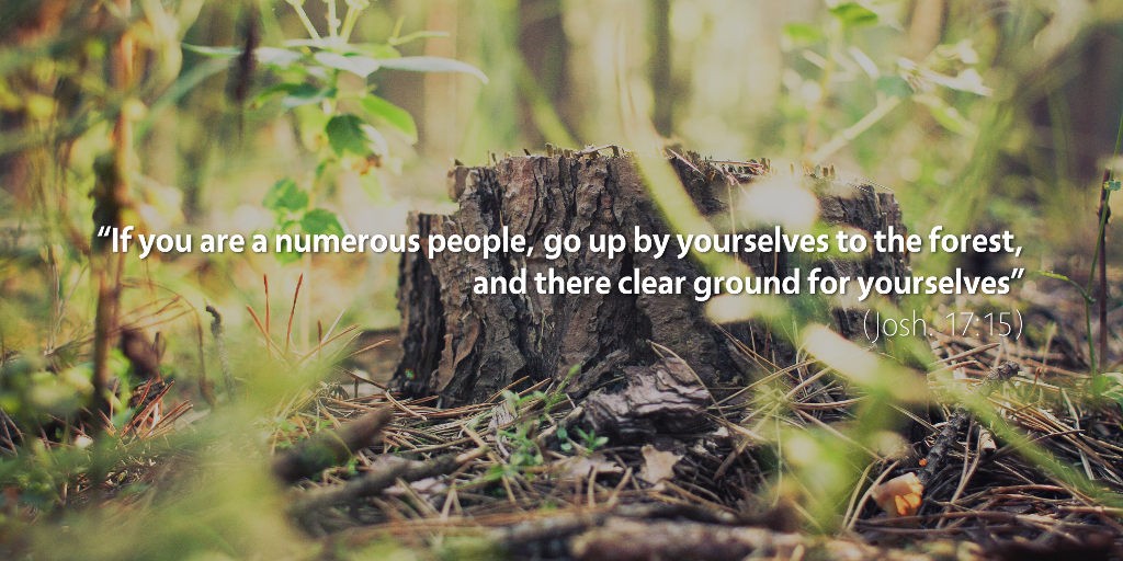 Joshua 16–17: If you are a numerous people, go up by yourselves to the forest and there clear ground for yourselves.