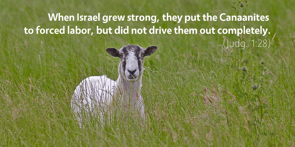 Judges 1: When Israel grew strong, they put the Canaanites to force labor, but did not drive them out completely.