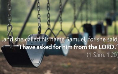 August 11th: Bible Meditation for 1 Samuel 1