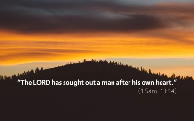 August 21st: Bible Meditation for 1 Samuel 13