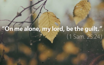 September 1st: Bible Meditation for 1 Samuel 25