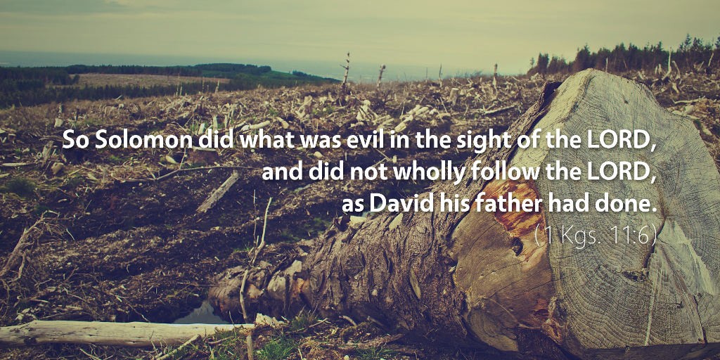 1 Kings 11: So Solomon did what was evil in the sight of the LORD, and did not wholly follow the LORD as David his father had done.