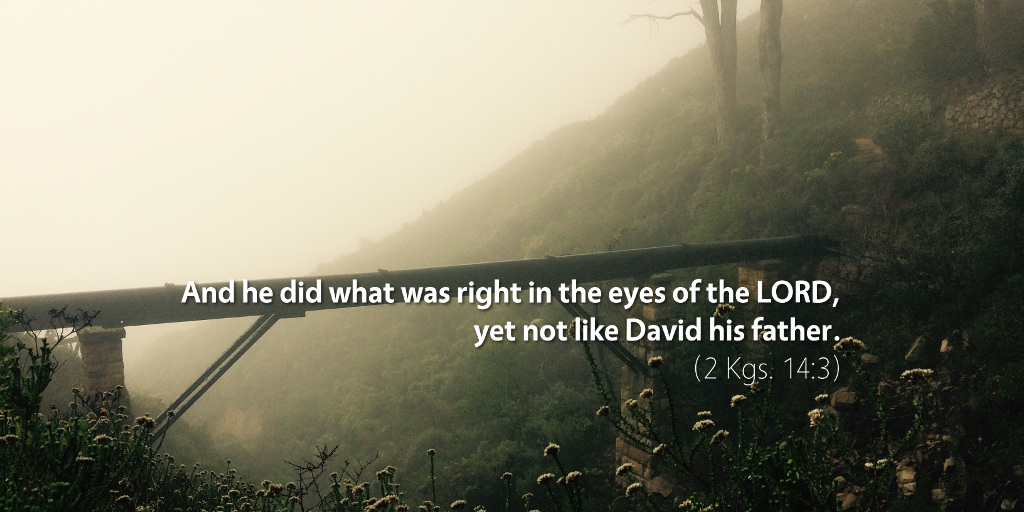 2 Kings 14: And he did what was right in the eyes of the LORD, yet not like David his father.